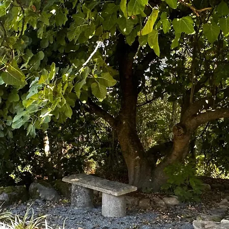 Quinta Do Codecal Daire *