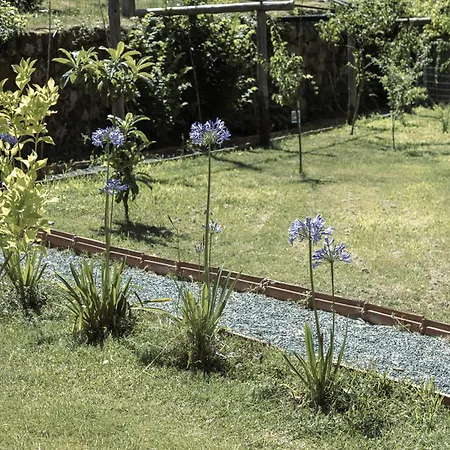 Διαμέρισμα Quinta Do Codecal