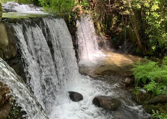 Апартаменты Quinta Do Codecal