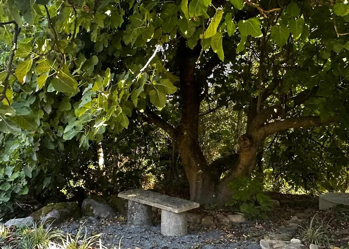 Quinta Do Codecal Apartment *